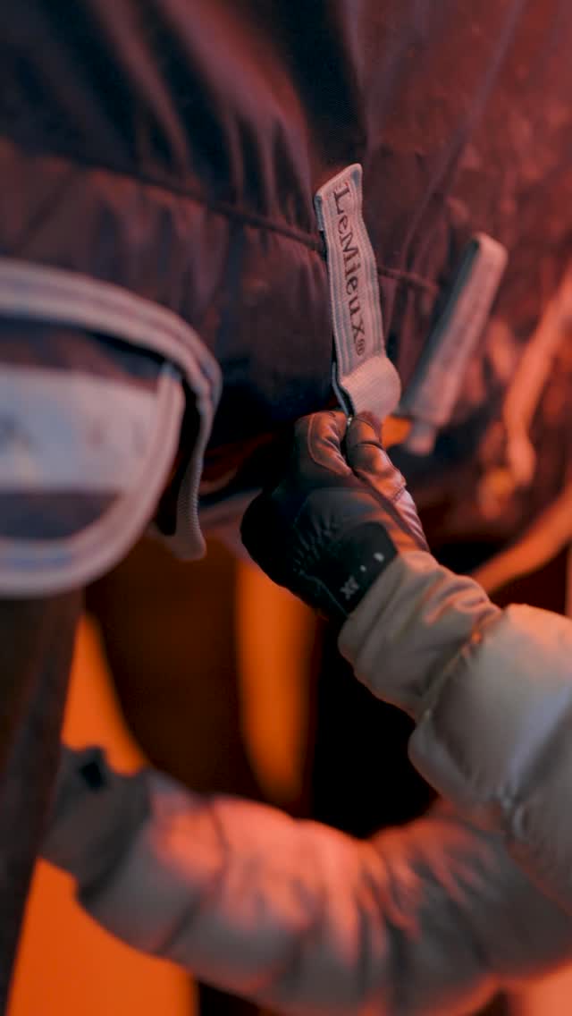 Anzeige | Das Wetter bestimmt unseren Stallalltag: Ob ich auf dem Außenplatz reiten kann, der Boden fürs Geländetraining zu nass ist oder wie warm ich meine Pferde eindecke – selbst für die Koppel ist es entscheidend. Kalte Nächte können die Fruktanwerte im Gras erhöhen, was gesundheitlich eine Rolle spielt und mitentscheidet, wie lange meine Pferde überhaupt aufs Gras dürfen. ☀️🌧️☔️🌦️

Mit der @wetteronline -App habe ich das WETTERRADAR, die Vorhersage und das 14-Tage-Wetter immer im Blick und kann rechtzeitig reagieren – egal ob Frost, Regen oder Wetterumschwünge. So kann ich meine Pferde, die Anlage und meinen Alltag zuverlässig planen.

Ladet euch die WetterOnline-App kostenlos im App Store herunter und seid vorbereitet, statt überrascht 💪🏼

Mehr Infos: https://app.wetteronline.de/pHdP/MhdIN1 ❄️☃️☀️🌈

#stallalltag #pferdegesundheit #wetteronline #equestrianlife #pferdeliebe