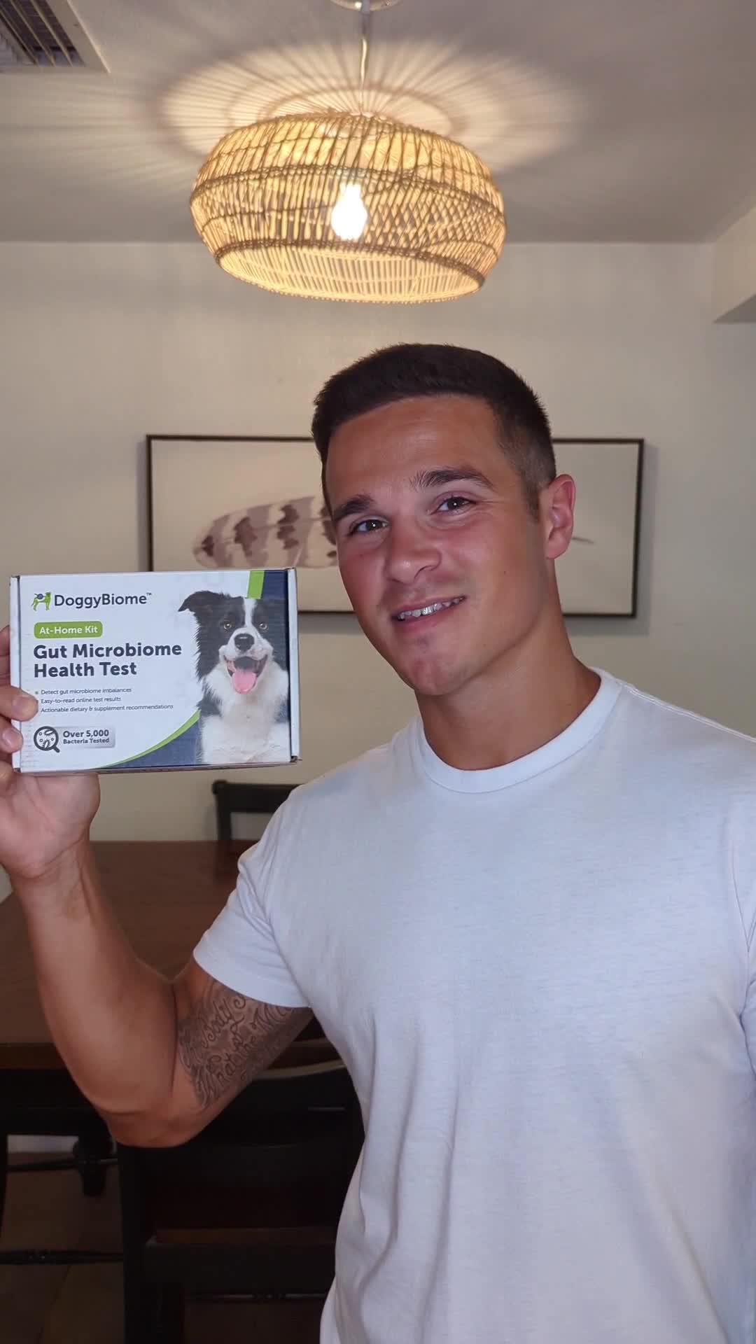 Understand Your Pet's Gut Health