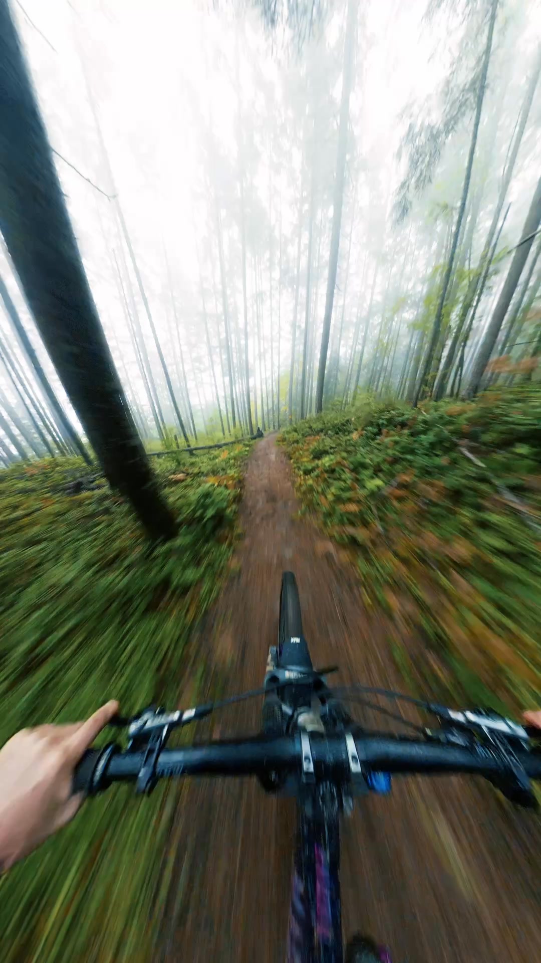 Loam Carbon Handlebar