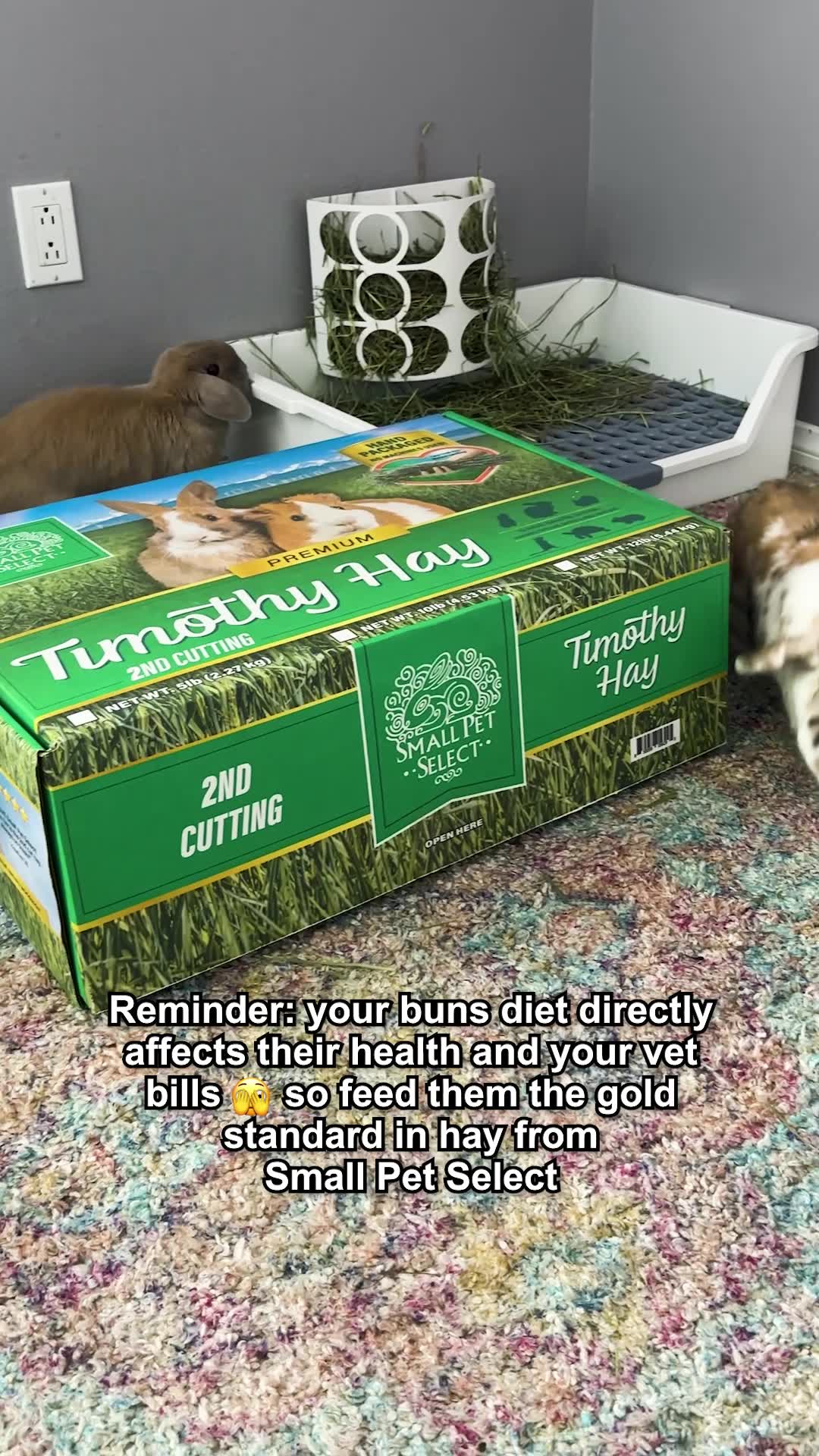 Your Bunny Misses Their Favorite Hay!