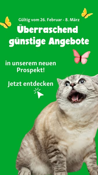 🐾 Bis zu 23% 🐾