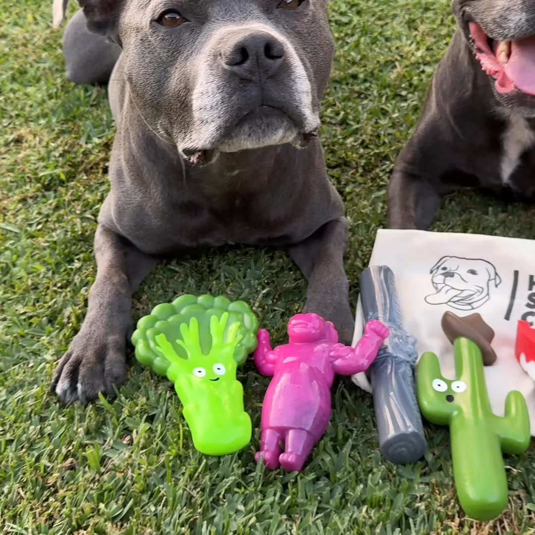 Try this tough toy.. for FREE