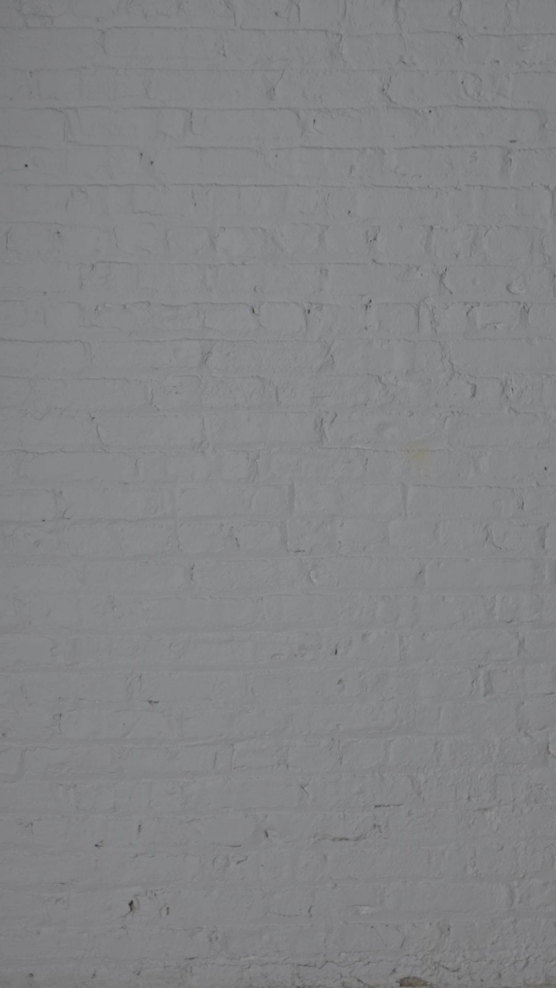 Conquer The Cold In Merino