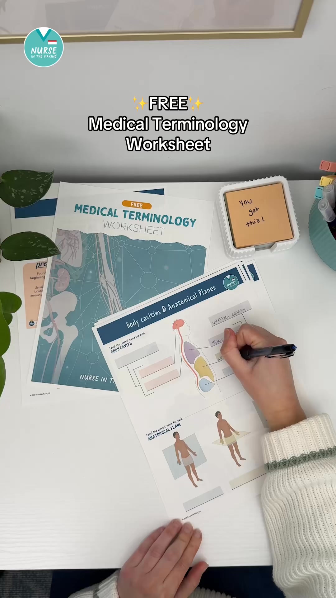 Medical Terminology Made Easy