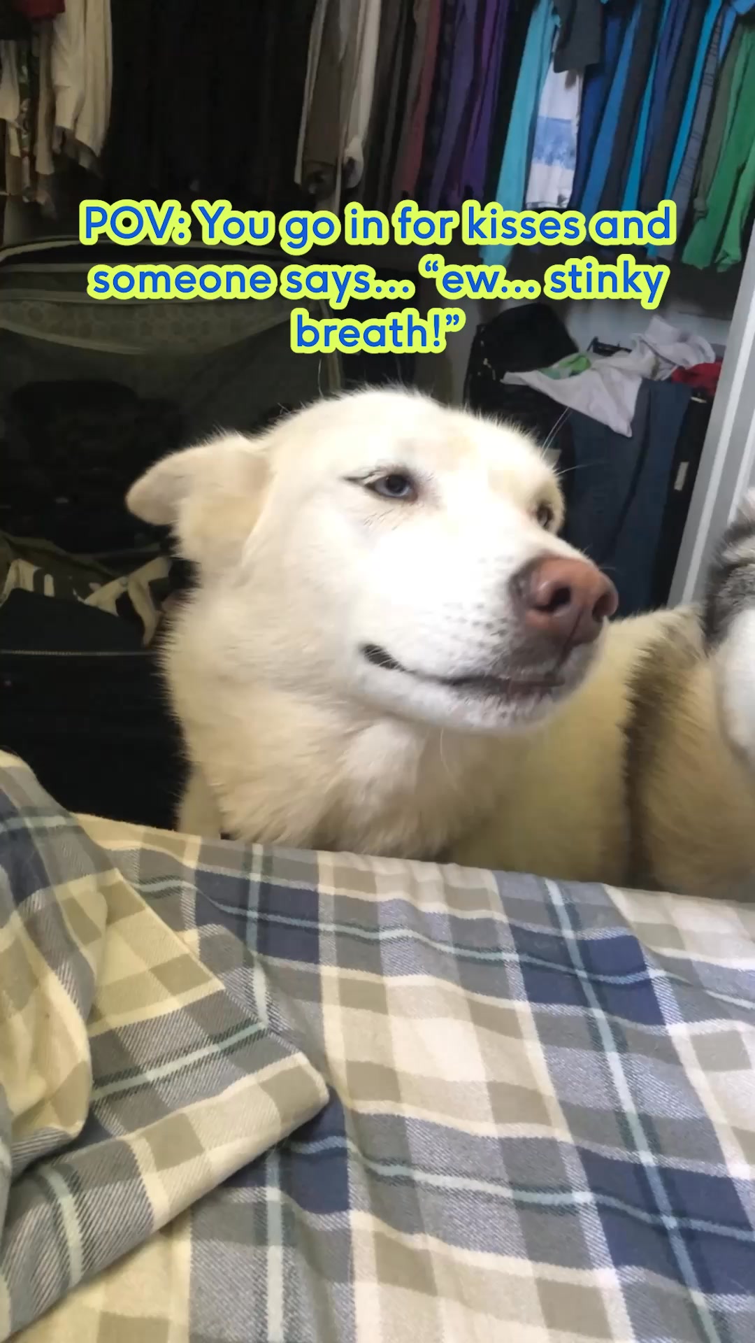 GutWell Clean Breath