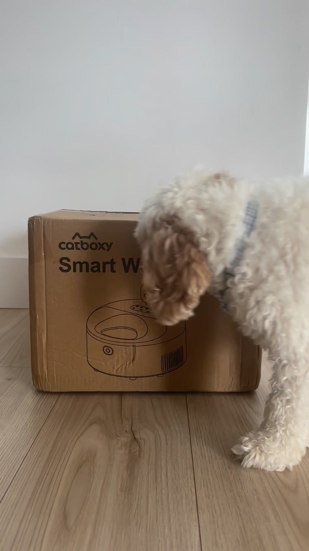 Clearance 20% Off — Use SPRING20, Only 50 Left