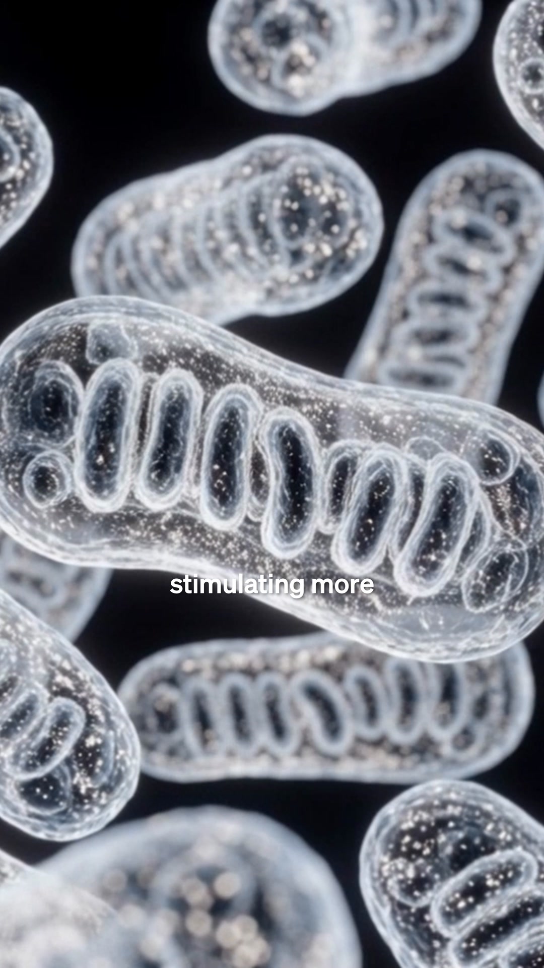 The Anti-Aging System Dave Asprey Actually Uses.