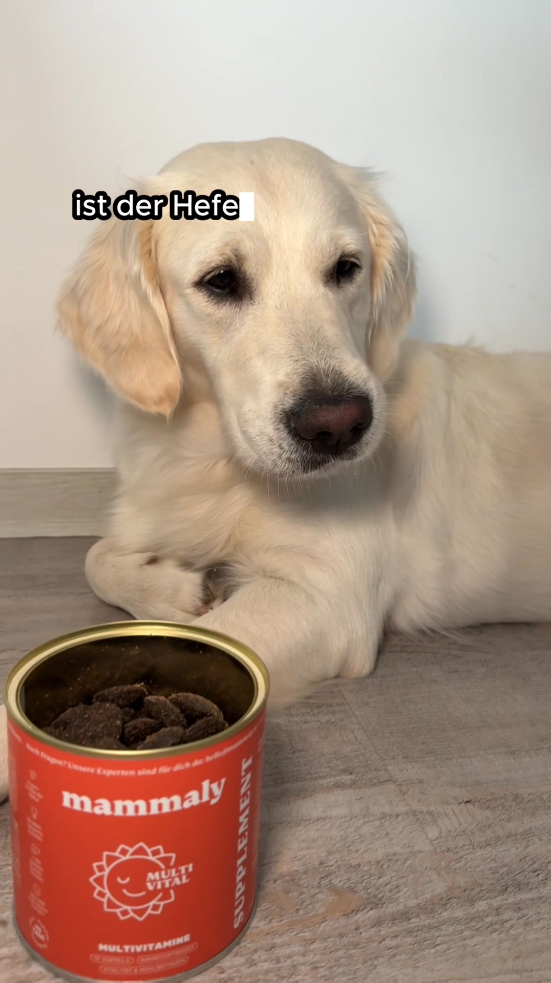 Tägliches Multivitamin für Hunde mit echter Wirkung.