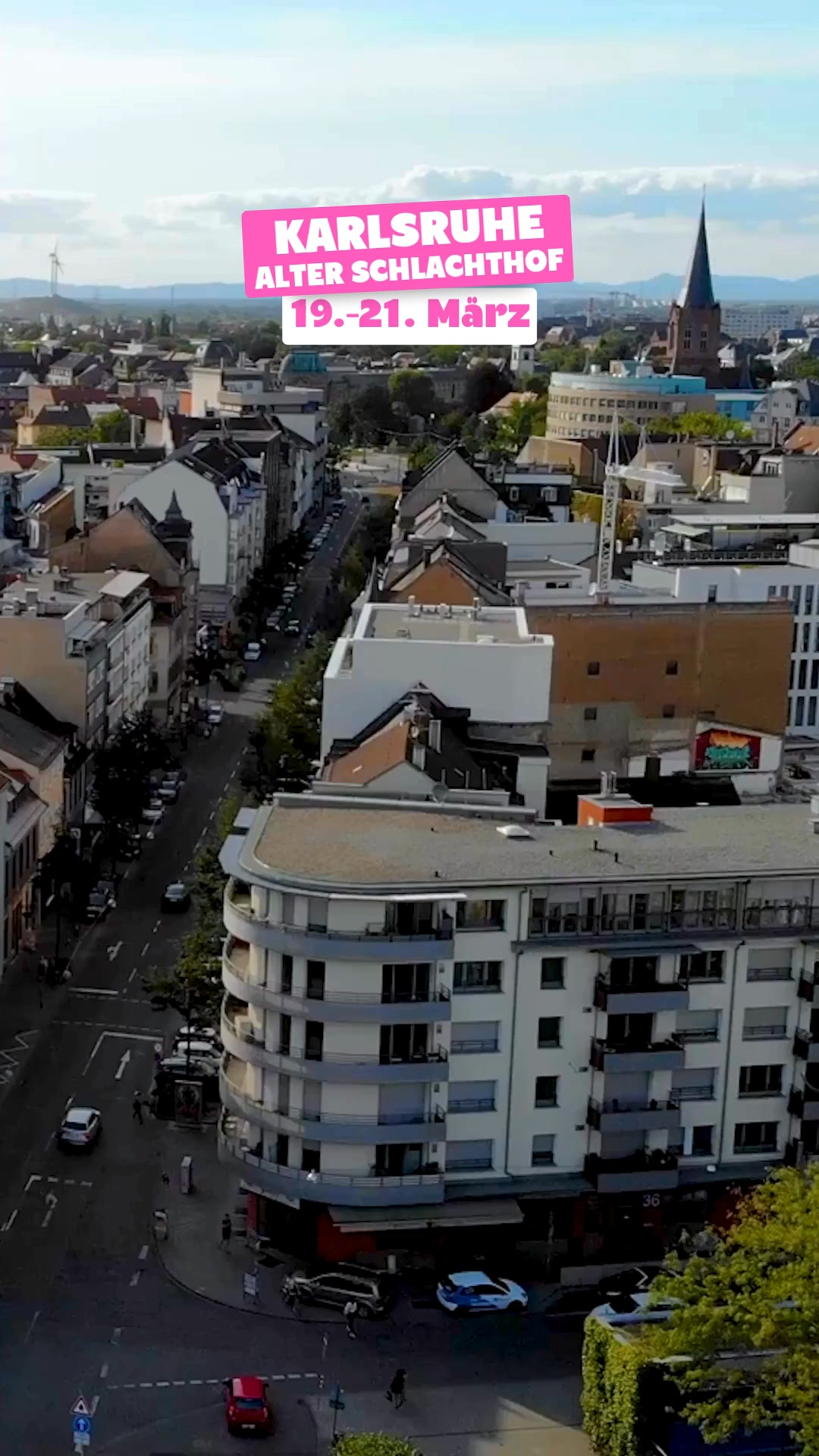 Pflanzen ab 1,99€ 🌿