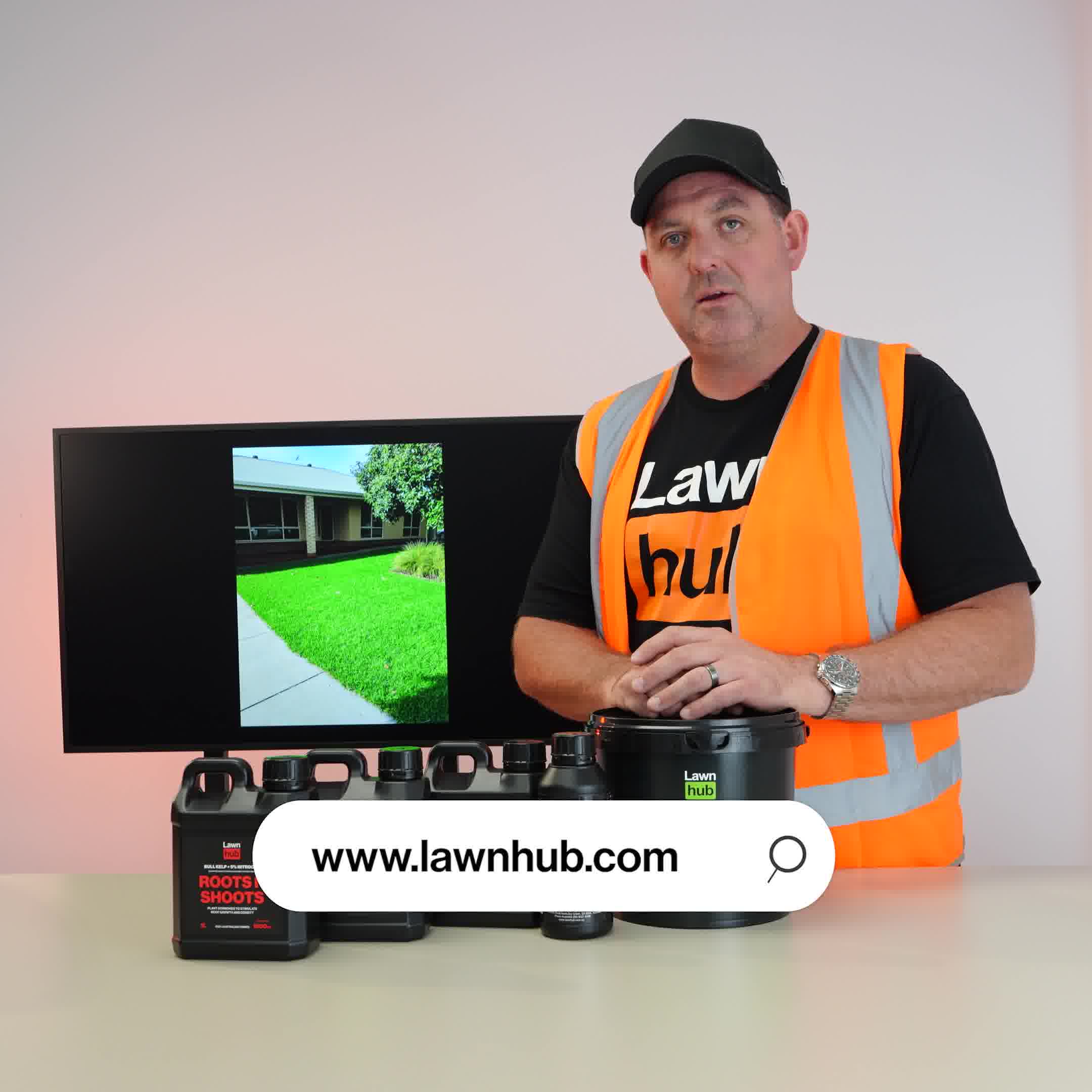 Everything you need.