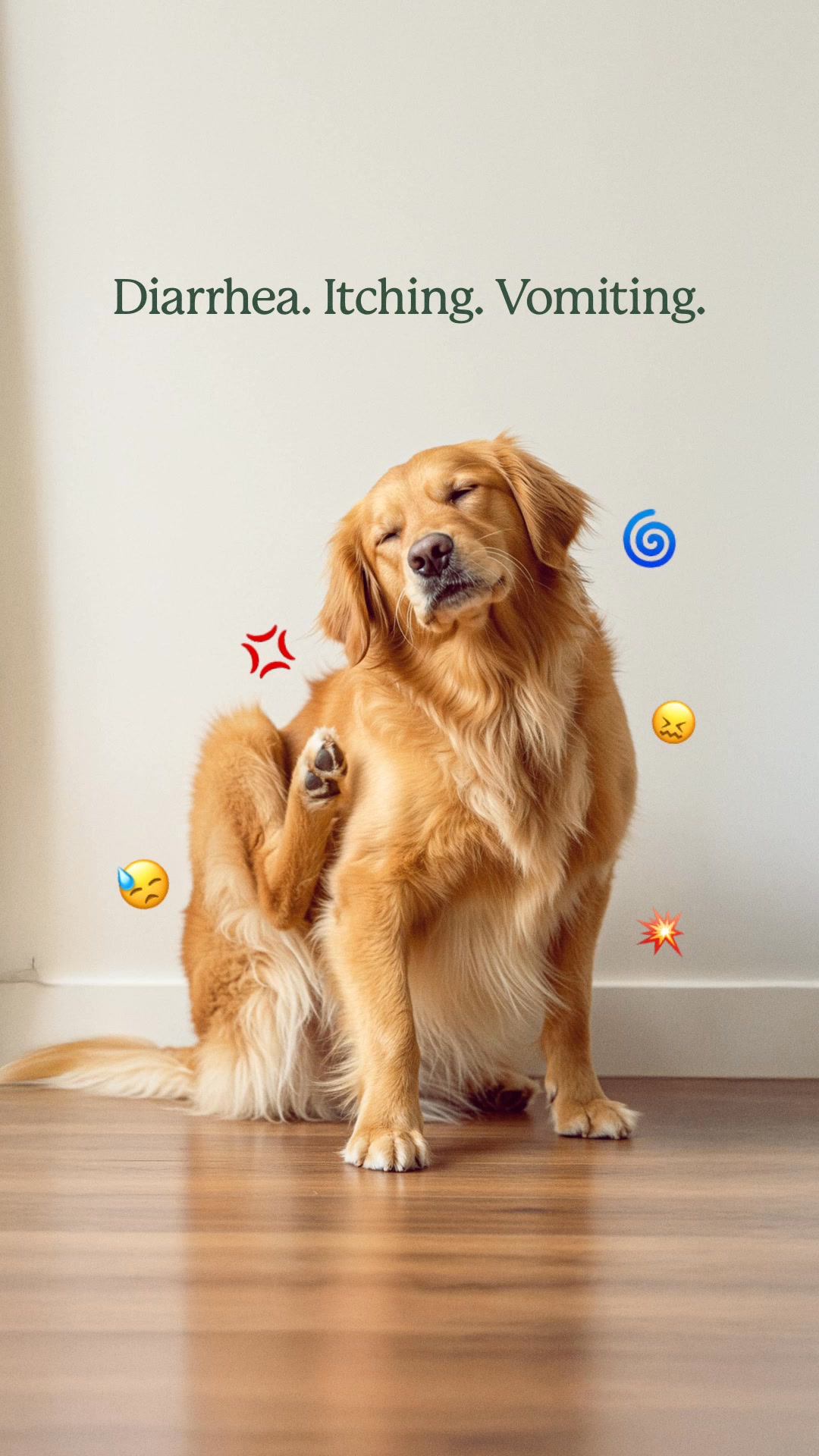 A Happy Dog Starts With A Healthy Gut