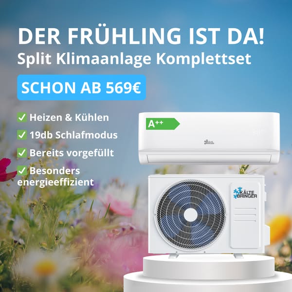 Top Preis-Leistung 🏆