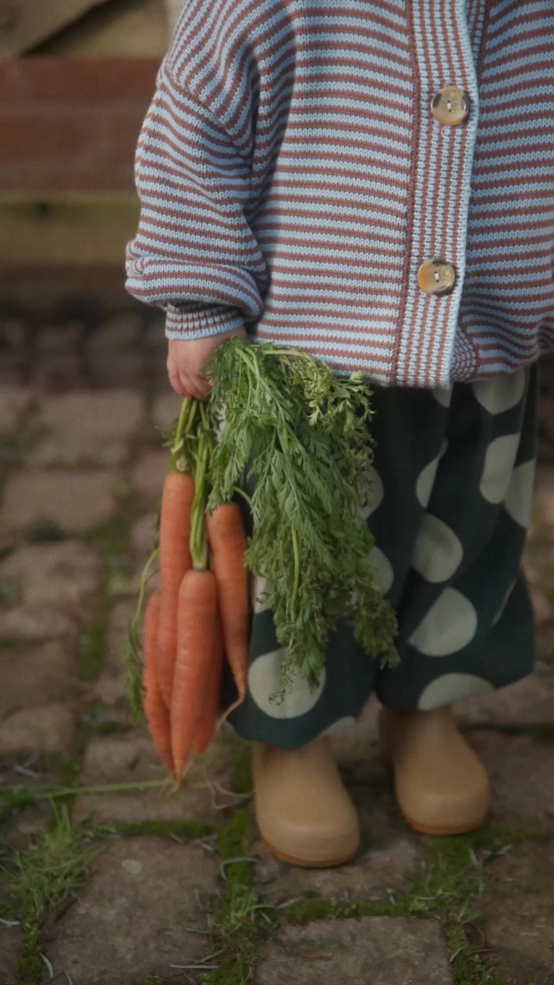 Shop The New Collection