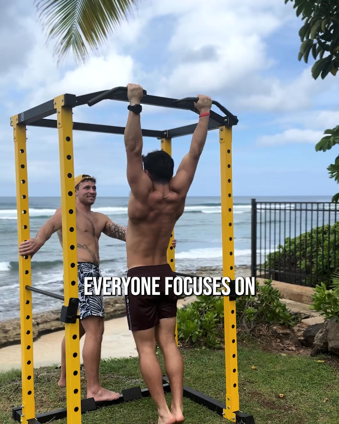 Fuel Your Training with VEGA.