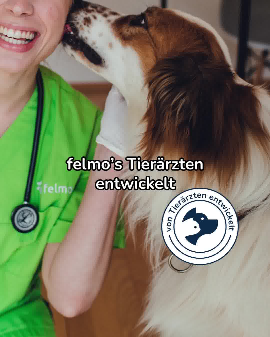 Jetzt Vorteils-Paket holen 👉