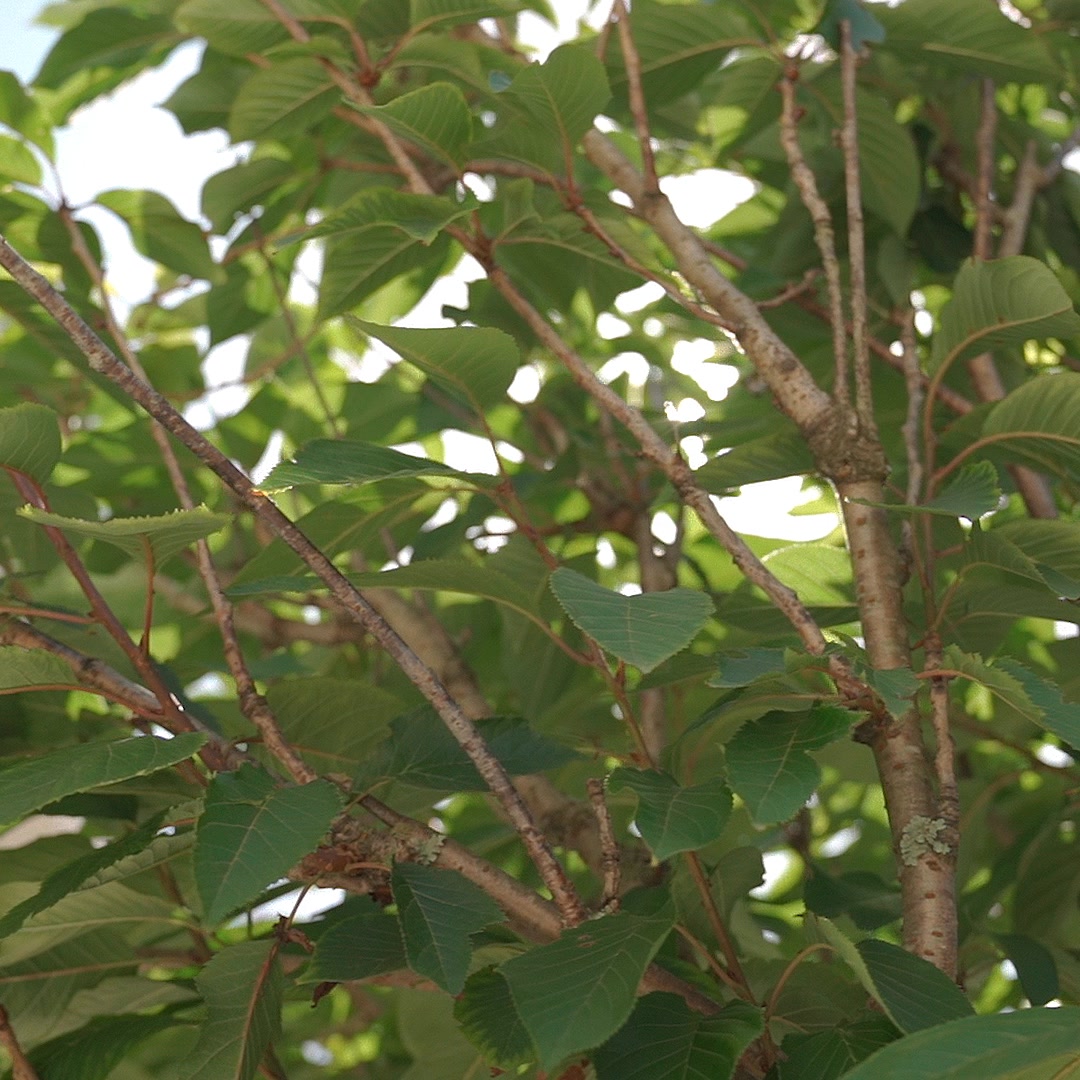 Construye sus próximos años