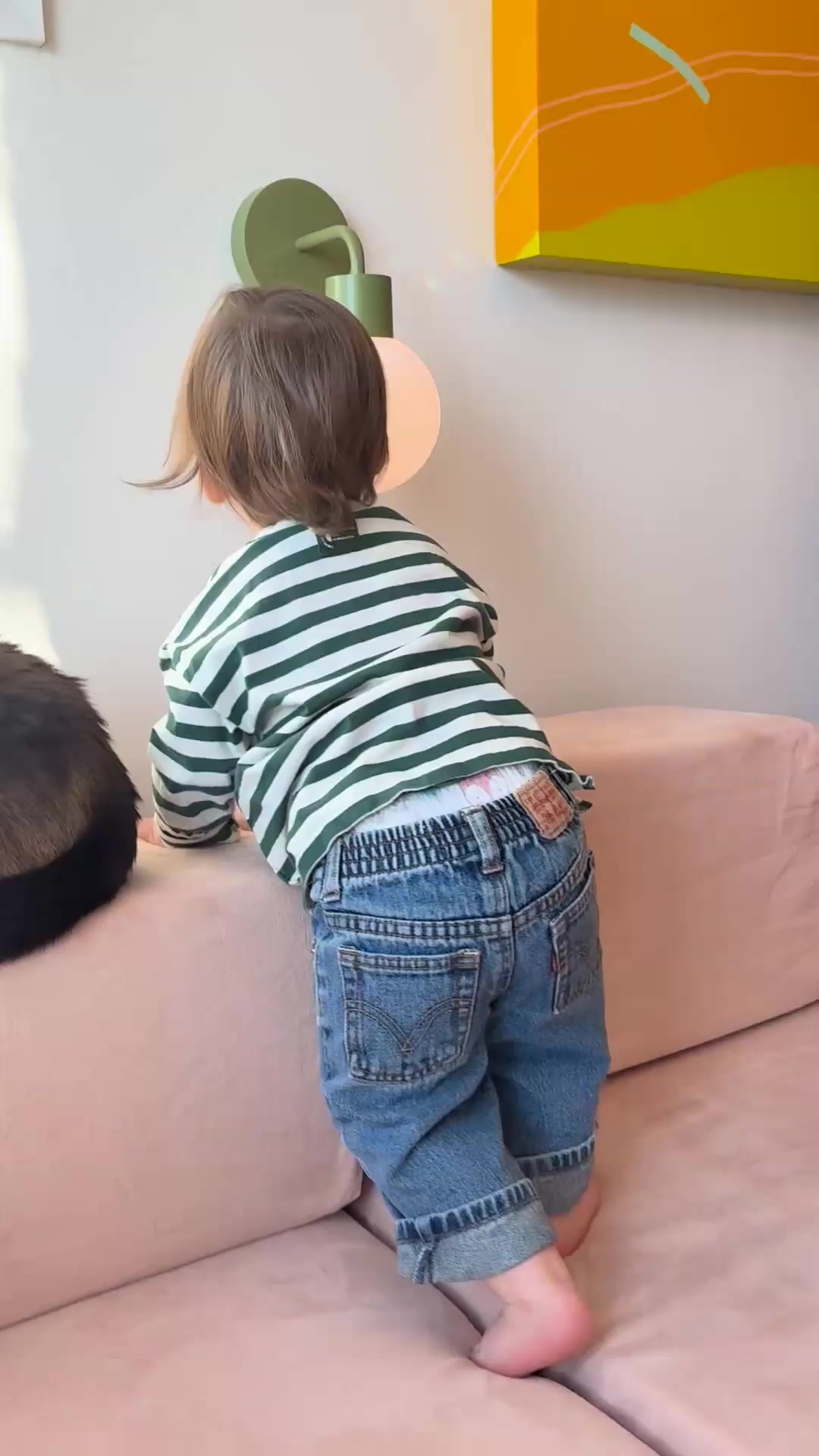 Pop-Up Bedtime Solution