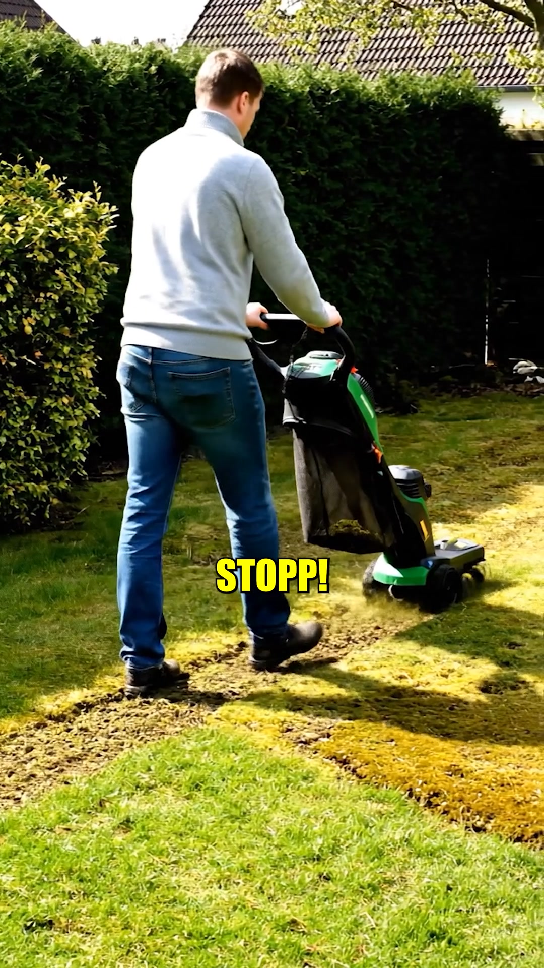 Vertikutieren. Verpass nicht das Zeitfenster für deinen Rasen