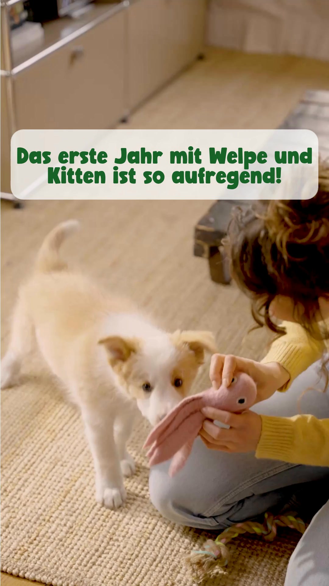 Alles bei Fressnapf