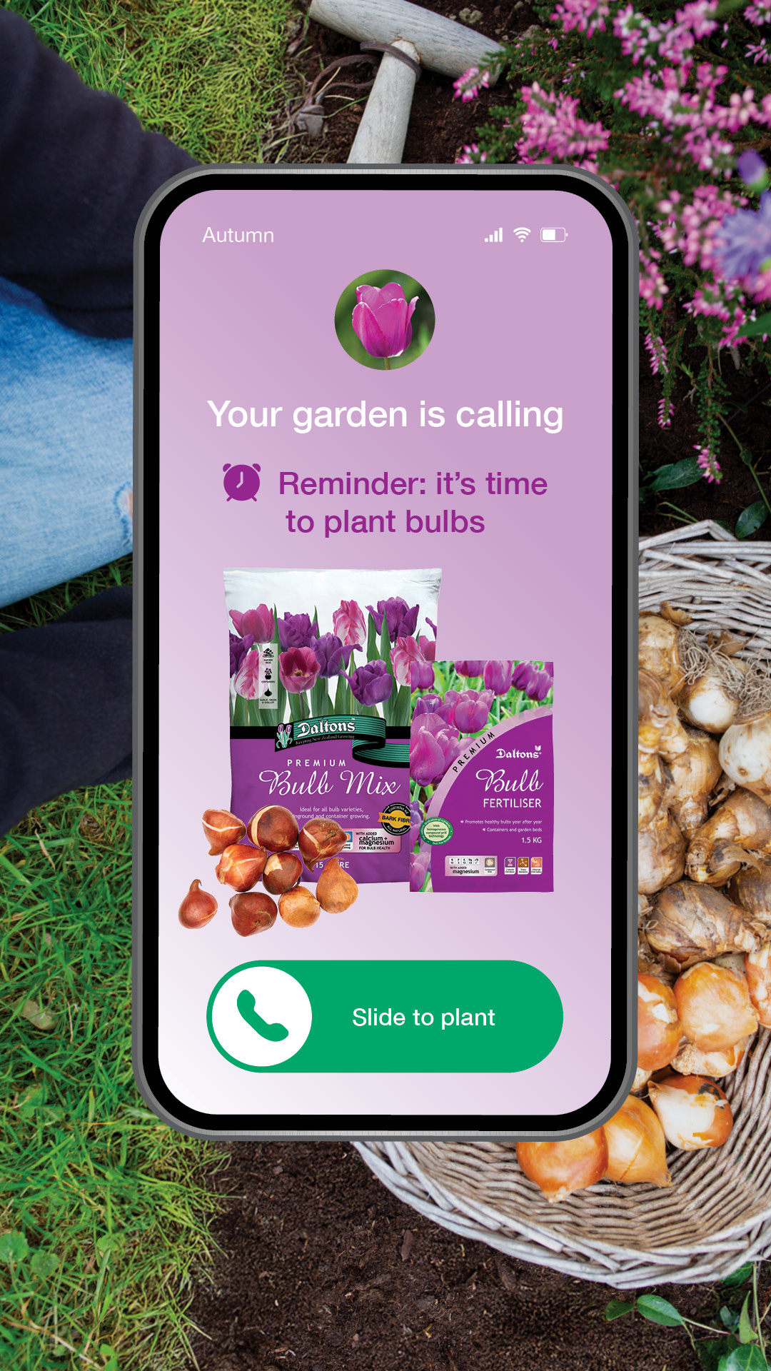 Ring, ring, it's bulb time 🌷What are you planting this year?
#mydaltonsgarden #bulbseason #SpringFlowers #nzgardening #GardeningTips #growyourown #GardeningNZ