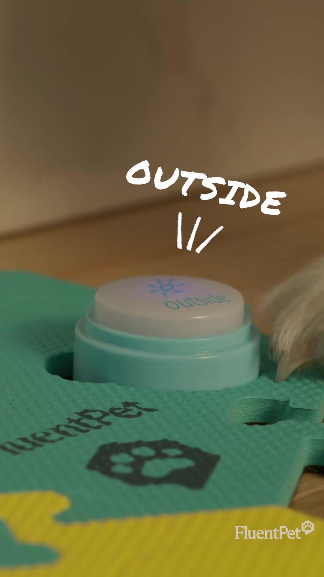 Used in 150K+ households worldwide.