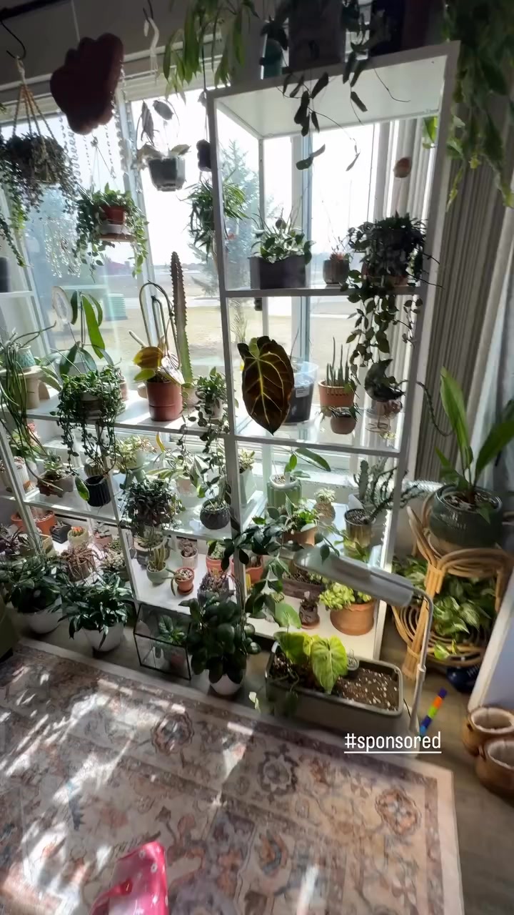 Fix Messy Vines Beautifully