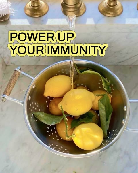 Your immune system should work as hard as you do. Swipe to see the 4 nutrients we use in our Immune Defense formula 👉

Link in bio to shop 🔗

Bookmark this for the next time someone says "just take more vitamin C." 😉

#ImmuneSupport #WellnessBasics