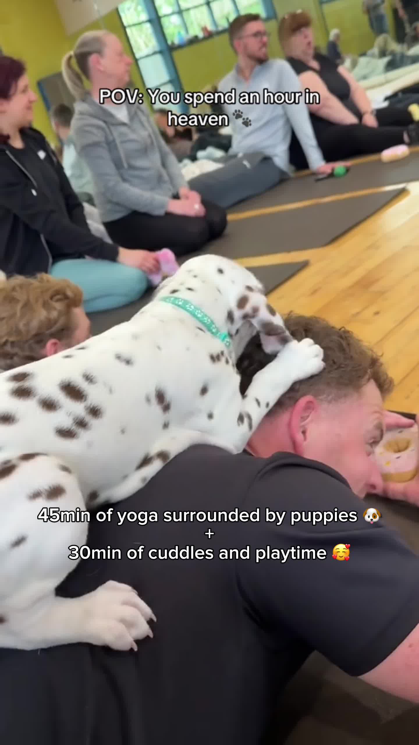 Book your class now!