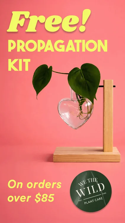 Plant lovers swear by these