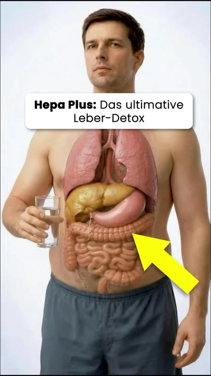 Leber-Detox aus der Natur!