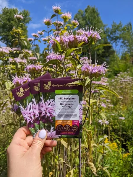 This is the year you plant a wildflower garden.
