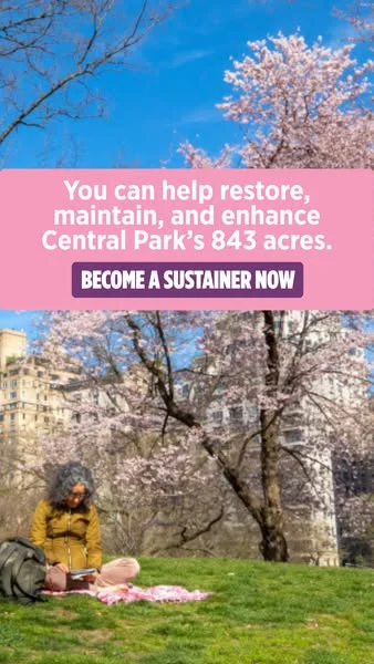 Sustain Central Park Year-Round