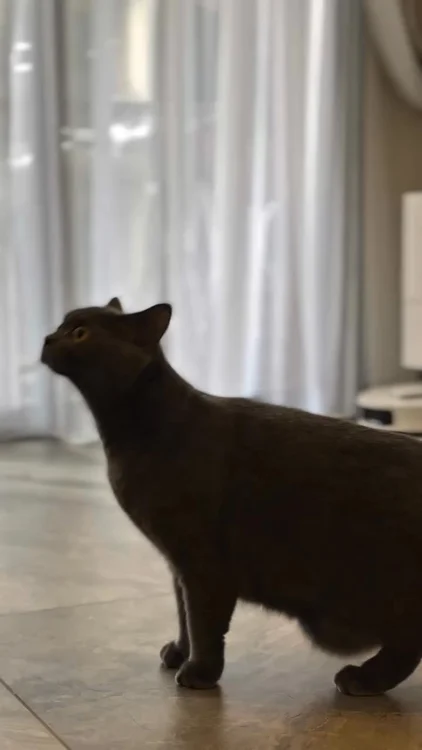 🔥 CNY Promo: Only $599 (U.P: $1699)