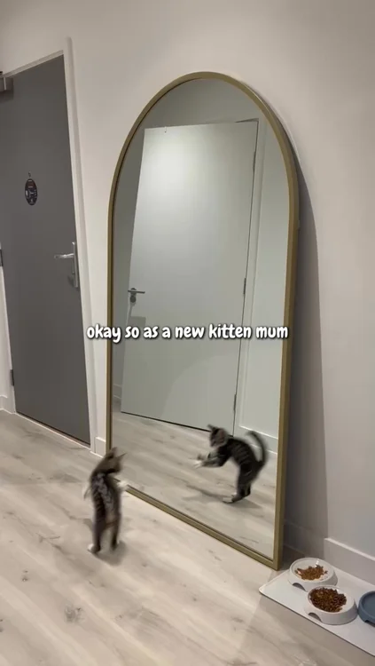 Early calm matters 💜