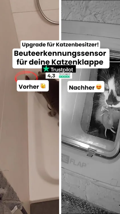 Katzenklappe mit Chip & Beuteerkennung