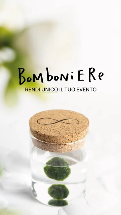 💐Sei alla ricerca di una bomboniera che
trasmetta emozioni autentiche e uniche per il tuo evento speciale? Siamo qui per te!

Le nostre creazioni sono un tributo al linguaggio universale dei fiori e delle piante, offrendo un tocco di natura e bellezza a ogni occasione importante della tua vita.✨
Che tu stia celebrando una nascita, un battesimo, una comunione, una cresima, un matrimonio o un traguardo come una laurea, le nostre bomboniere sono l’opzione perfetta per condividere la gioia e la gratitudine con i tuoi cari.

❤️Affidati a noi per trasformare i tuoi momenti importanti in ricordi preziosi e duraturi.
Contattaci per scoprire le nostre opzioni personalizzate, ricevere il catalogo e creare insieme la bomboniera perfetta per il tuo evento!

#events #eventplanner #marimo #bomboniere #weddingplanner