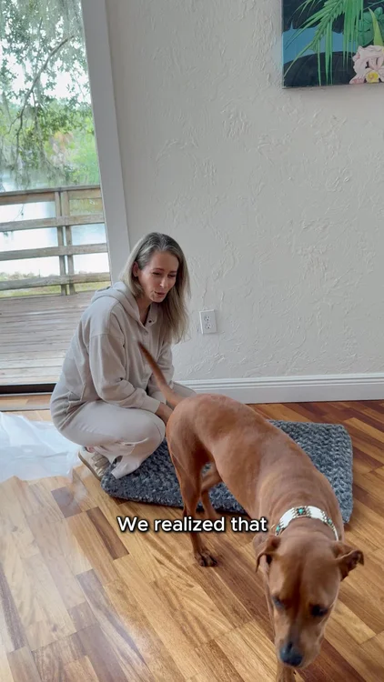 It started with one rescue dog named Maya.