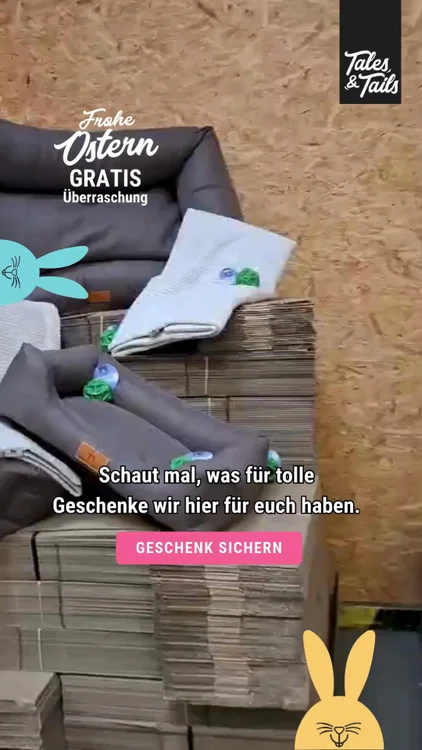 👉 Jetzt shoppen & Oster-Geschenk sichern 🎁