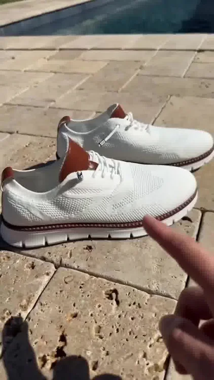 H.D Ventura Trainers