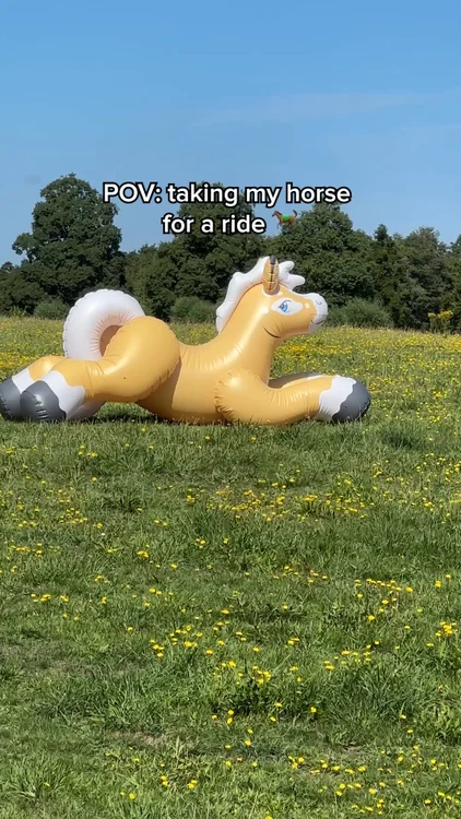 SHOSU - Inflatables for Adults