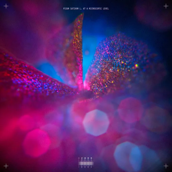 Unlock Performance, Naturally.