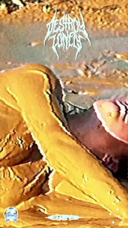 Destroy Lonely @ Poolen | KØBENHAVN K - fre., 11.04.2025