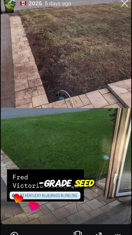Canada’s Top Choice for Dark Green Lawns